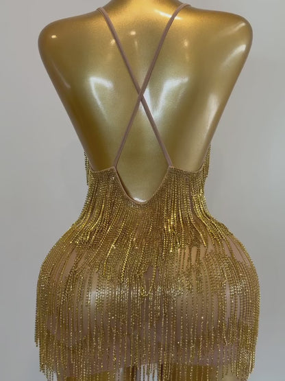 Midnight Fringe Dress(silver, pink, gold)